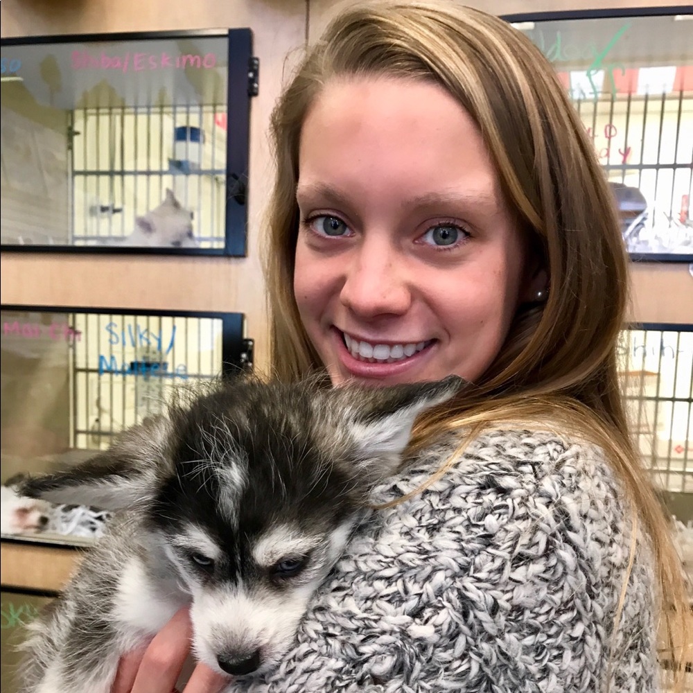 Meet your Posher, Carlee